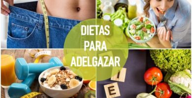 Recetas y Dietas para Bajar de Peso ¡Guía de Alimentación!